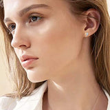 Heart Earrings Sterling Silver  Love Angel Wings Cubic Zirconia Stud Earrings  Open Heart Stud Earrings for Women