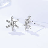 s925 sterling silver earrings Korean version of the six-star star studs zircon micro-inlaid jewelry