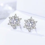 S925 sterling silver jewelry new snowflake zircon earrings female light luxury earrings wild earring girlfriend birthday gift