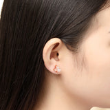 Silver Cubic Zirconia Clover Stud Earrings