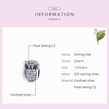 925 Sterling Silver Cute Owl Charm For Bracelet  Fashion Jewelry For Gift