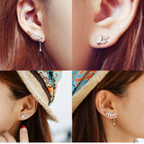 S925 sterling silver earrings female Korean creative asymmetric leaf diamond earrings