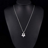 Star Paw Urn Cremation Jewelry S925 Sterling Silver Keepsake Memorial Urn Necklace for Ashes