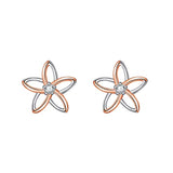 Daisy Filigree Flower Stud Earrings