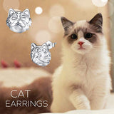 925 Sterling Silver Cat Stud Earrings for Women Girls