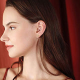 Sterling Silver Star Stud Earrings Cubic Zirconia Earrings for Women