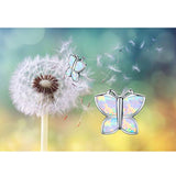 Opal Stud Earrings 925 Sterling Silver Hypoallergenic Butterfly Stud Earrings for Women