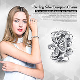 925 Sterling Silver Daisy Dazzling CZ Bead Charm for Women Snake Bracelet Charm