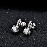 Mother's Day Gifts S925 Sterling Silver Cubic Zircon Stud Earrings Lever back Drop Hook Dangle Stud Earrings