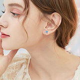 Silver Cubic Zircon Stud Earrings