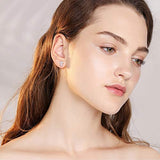 Unicorn Stud Earrings S925 Sterling Silver Opal Earrings Cute Unicorn Gifts for Women