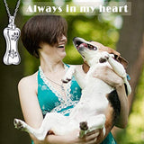 Dog Cremation Jewelry for Ashes, 925 Sterling Silver Urn Necklace for Women, Pet ashes/hair Keepsake Locket Pendant