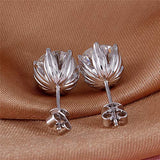 14K  Gold  Clear Heart Arrows Cut Moissanite Stud Earrings  for Women