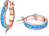 Sterling Silver Opal Hoop Earrings  Jewelry for Women