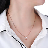 S925 Sterling Silver Zircon Pendant Fashion European and American Clavicle Chain Necklace Jewellery