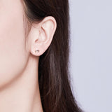 925 Sterling Silver Plated Rose Gold Zircon Stud Earrings  Coffee Earrings