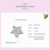 925 Sterling Silver Sparkling Star Shape Charm fit DIY Bracelet Precious Jewelry For Women