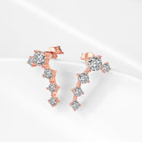 Fashion Jewellery Accessories Latest Design Shining Rose Gold Earrings Designs